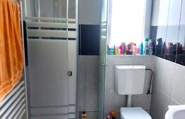 Casa, spatioasa cu 3 camere, 97 mp, 250 mp teren, Vladimirescu.