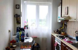 Casa, spatioasa cu 3 camere, 97 mp, 250 mp teren, Vladimirescu.