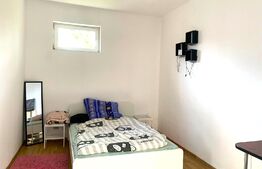 Apartament cu o camera, 30 mp, curte comuna, zona Parneava
