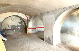 Spatiu de depozitare sau prelucrare, 60 mp, zona Boul Rosu