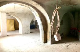 Spatiu de depozitare sau prelucrare, 60 mp, zona Boul Rosu