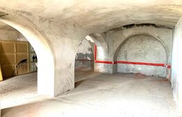 Spatiu de depozitare sau prelucrare, 60 mp, zona Boul Rosu