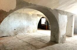 Spatiu de depozitare sau prelucrare, 60 mp, zona Boul Rosu