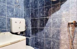 Oportunitate investiție! Apartament cochet, 27 mp, zona Confectii!