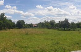 Teren intravilan 2900 mp, front stradal 31,13 ml, Cicir