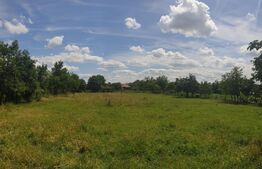 Teren intravilan 2900 mp, front stradal 31,13 ml, Cicir