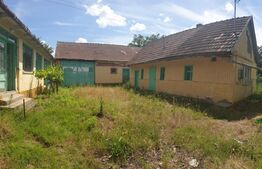 Teren intravilan 2900 mp, front stradal 31,13 ml, Cicir