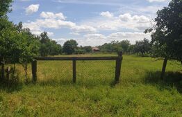 Teren intravilan 2900 mp, front stradal 31,13 ml, Cicir