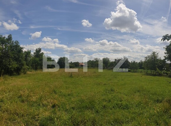 Teren de vânzare Exterior Est - 118003TV | BLITZ Arad | Poza1