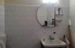 Casa 260 mp formata din doua apartamente, 369 mp teren, zona Intim