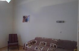 Casa 260 mp formata din doua apartamente, 369 mp teren, zona Intim