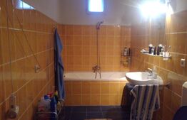 Casa 260 mp formata din doua apartamente, 369 mp teren, zona Intim