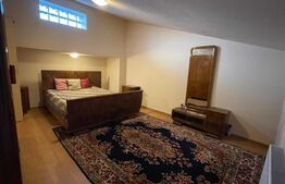 Casa P+M zona Parneava, teren 703mp