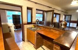 Casa P+M zona Parneava, teren 703mp