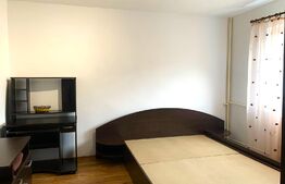 Garsoniera cocheta de 24 mp aproape de Campusul Universiatar Vasile Goldis