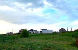Teren intravilan pentru constuctie casa, 500 mp, Cartier nou Fumuseni