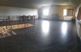 Proprietate mixta, casa P+M, 207 mp utili, 440 mp teren, Sanpaul