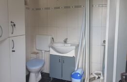 Proprietate mixta, casa P+M, 207 mp utili, 440 mp teren, Sanpaul