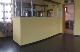 Proprietate mixta, casa P+M, 207 mp utili, 440 mp teren, Sanpaul