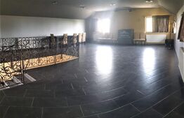 Proprietate mixta, casa P+M, 207 mp utili, 440 mp teren, Sanpaul