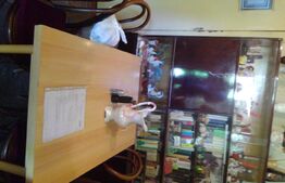 Casa 4 camere, 926 mp teren, Parneava