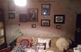 Casa 4 camere, 926 mp teren, Parneava