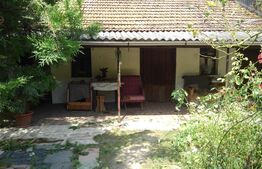 Casa 4 camere, 926 mp teren, Parneava