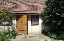 Casa 4 camere, 926 mp teren, Parneava