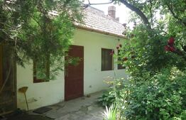 Casa 4 camere, 926 mp teren, Parneava