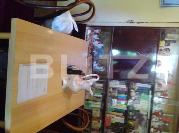 Casa de vânzare 4 camere Parneava - 119701CV | BLITZ Arad | Poza8