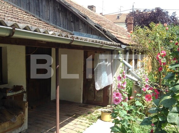 Casa de vânzare 4 camere Parneava - 119701CV | BLITZ Arad | Poza2