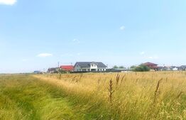 Comision 0% ! Teren intravilan de 1 hectar, PUZ aprobat, Livada