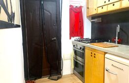 Garsoniera cocheta frumos amenajata, 22 mp, zona Boul Rosu