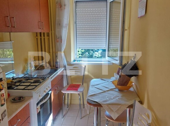 Apartament de vânzare 2 camere Romanilor - 122522AV | BLITZ Arad | Poza3