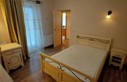 Proprietate deosebita formata din 2 case si 1250mp teren