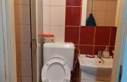 Apartament spatios cu o camera, parter, 25 mp, zona Vlaicu