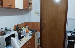 Apartament spatios cu o camera, parter, 25 mp, zona Vlaicu