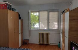 Apartament spatios cu o camera, parter, 25 mp, zona Vlaicu