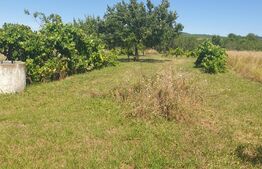 Casa modesta Ghioroc, 1400 mp teren