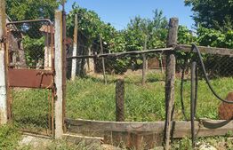 Casa modesta Ghioroc, 1400 mp teren