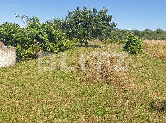 Casa de vânzare 2 camere Exterior Est - 124949CV | BLITZ Arad | Poza5