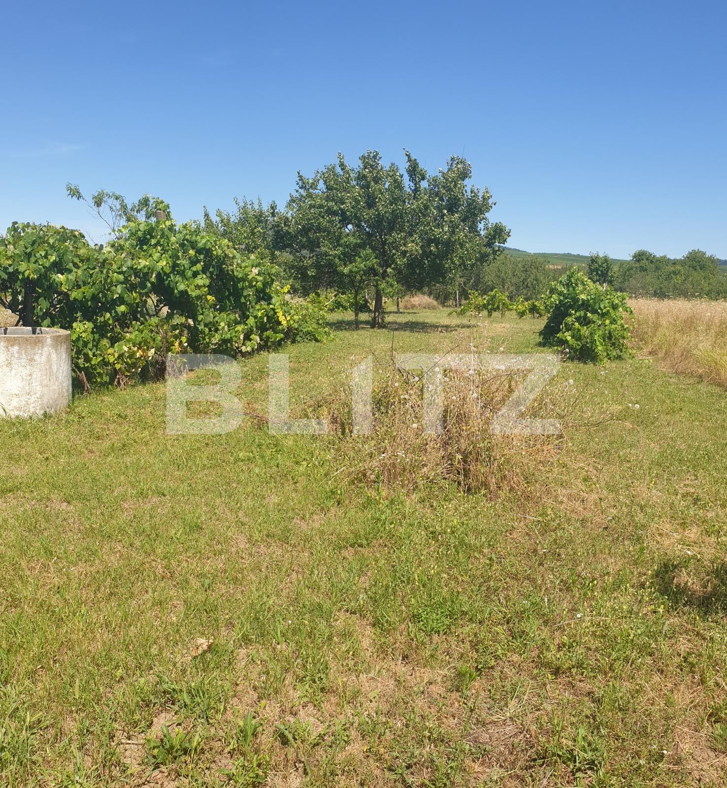 Casa de vânzare 2 camere Exterior Est - 124949CV | BLITZ Arad | Poza5