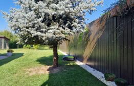 Casa parter 5 camere, teren 986 mp, Gradiste