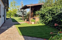 Casa parter 5 camere, teren 986 mp, Gradiste