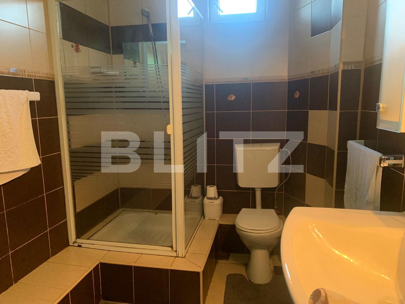 Casa de închiriat 6 camere Exterior Nord - 128757CI | BLITZ Arad | Poza13