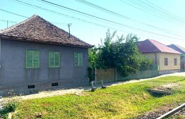 Casa de vânzare 2 camere Gradiste - 103836CV - Poza 11 din 11 | BLITZ Arad | Poza2