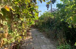 Casa de renovat,160 mp construiti, front stradal 16,5 ml, 648 mp teren,  Vladimirescu