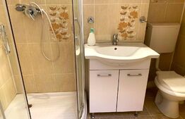 Apartament cochet, 3 camere, 55 mp, zona Miorita