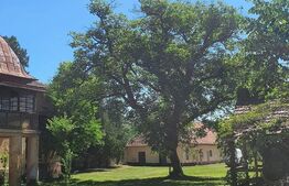 De vanzare conac boieresc, anul 1880, 3 ha teren, 1200 mp construiti, jud. Arad