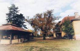 De vanzare conac boieresc, anul 1880, 3 ha teren, 1200 mp construiti, jud. Arad